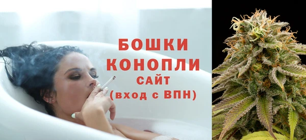 шишки Алзамай