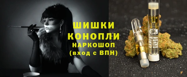 шишки Алзамай
