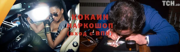 хмурый Алексин