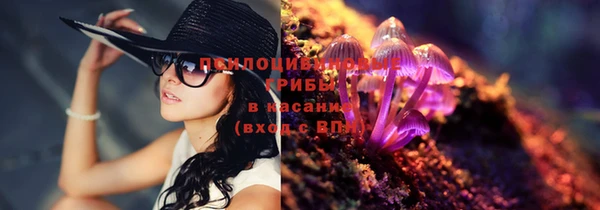 кристаллы Корсаков