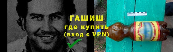 шишки Алзамай
