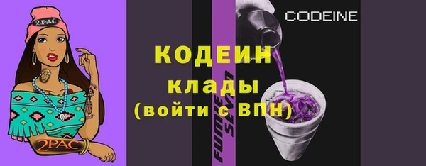 хмурый Алексин