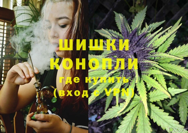 шишки Алзамай