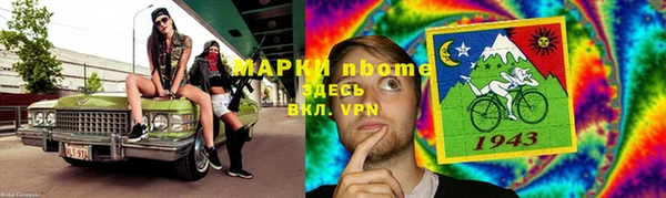 хмурый Алексин
