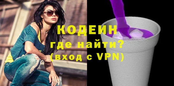 хмурый Алексин