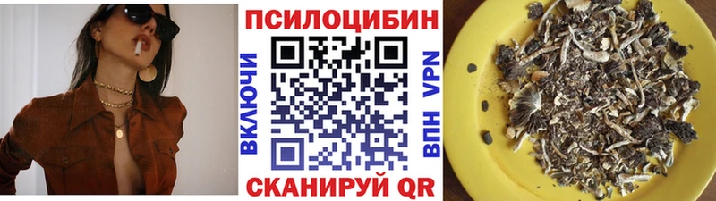 как найти наркотики  Козловка  МЕГА зеркало  Псилоцибиновые грибы ЛСД 